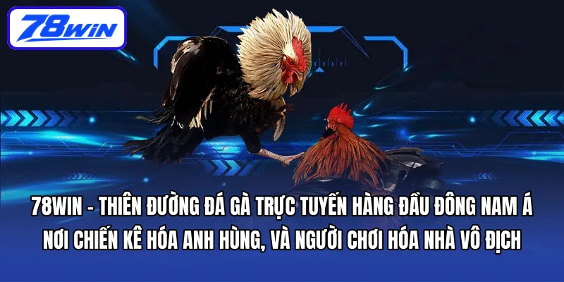 78WIN – thiên đường đá gà trực tuyến hàng đầu Đông Nam Á, nơi chiến kê hóa anh hùng, và người chơi hóa nhà vô địch