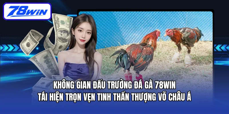 Không gian đấu trường Đá Gà 78WIN tái hiện trọn vẹn tinh thần thượng võ châu Á